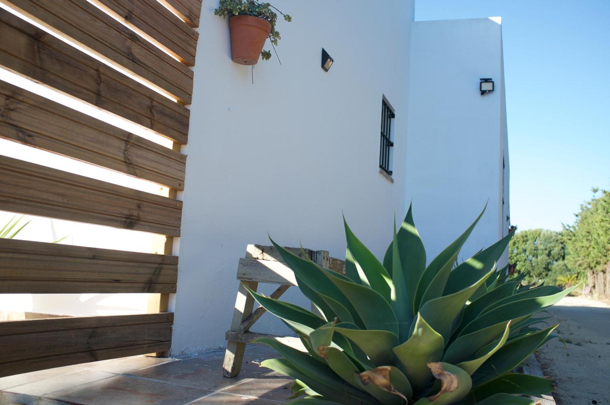 Ilusiones Del Mar Pensionat El Palmar  Rum bild